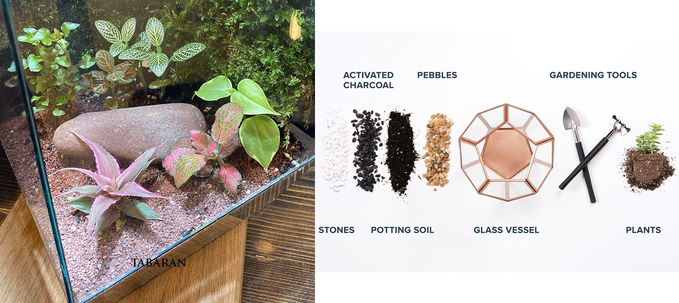 برنامه ریزی، ساخت و نگهداری از تراریوم