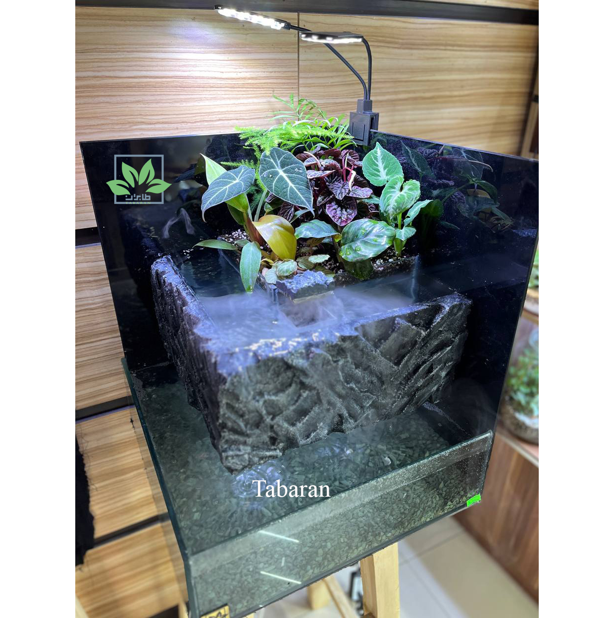 آبشار بینهایت